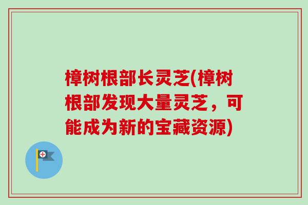 樟树根部长灵芝(樟树根部发现大量灵芝,可能成为新的宝藏资源)-第1张图片-卓越灵芝孢子粉 樟树根部长灵芝(樟树根部发现大量灵芝,可能成为新的宝藏资源)-第1张图片-卓越灵芝孢子粉