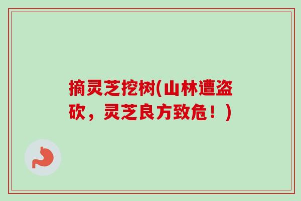 摘灵芝挖树(山林遭盗砍,灵芝良方致危!)-第1张图片-卓越灵芝孢子粉 摘灵芝挖树(山林遭盗砍,灵芝良方致危!)-第1张图片-卓越灵芝孢子粉