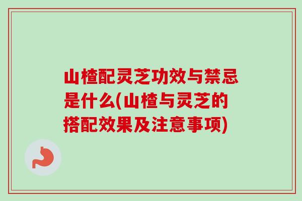 山楂配灵芝功效与禁忌是什么(山楂与灵芝的搭配效果及注意事项)-第1张图片-卓越灵芝孢子粉 山楂配灵芝功效与禁忌是什么(山楂与灵芝的搭配效果及注意事项)-第1张图片-卓越灵芝孢子粉