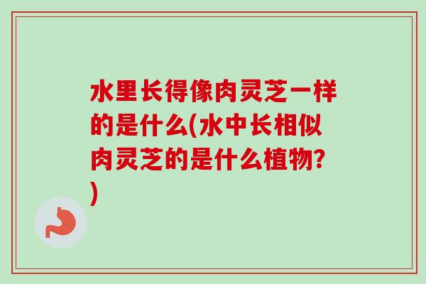 水里长得像肉灵芝一样的是什么(水中长相似肉灵芝的是什么植物?)-第1张图片-卓越灵芝孢子粉 水里长得像肉灵芝一样的是什么(水中长相似肉灵芝的是什么植物?)-第1张图片-卓越灵芝孢子粉