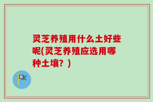 灵芝养殖用什么土好些呢(灵芝养殖应选用哪种土壤?)-第1张图片-卓越灵芝孢子粉 灵芝养殖用什么土好些呢(灵芝养殖应选用哪种土壤?)-第1张图片-卓越灵芝孢子粉