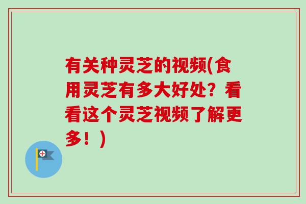 有关种灵芝的视频(食用灵芝有多大好处?看看这个灵芝视频了解更多!)-第1张图片-卓越灵芝孢子粉 有关种灵芝的视频(食用灵芝有多大好处?看看这个灵芝视频了解更多!)-第1张图片-卓越灵芝孢子粉