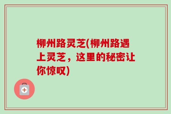 柳州路灵芝(柳州路遇上灵芝,这里的秘密让你惊叹)-第1张图片-卓越灵芝孢子粉 柳州路灵芝(柳州路遇上灵芝,这里的秘密让你惊叹)-第1张图片-卓越灵芝孢子粉