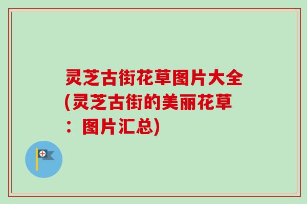 灵芝古街花草图片大全(灵芝古街的美丽花草：图片汇总)-第1张图片-卓越灵芝孢子粉