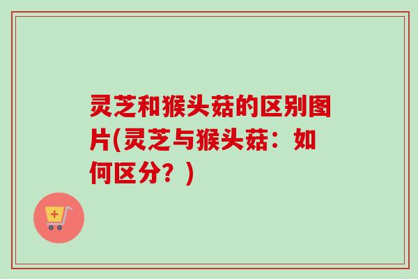 灵芝和猴头菇的区别图片(灵芝与猴头菇：如何区分？)-第1张图片-卓越灵芝孢子粉