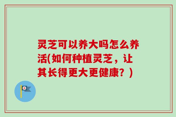 灵芝可以养大吗怎么养活(如何种植灵芝，让其长得更大更健康？)-第1张图片-卓越灵芝孢子粉