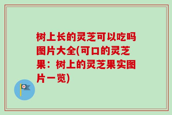 树上长的灵芝可以吃吗图片大全(可口的灵芝果:树上的灵芝果实图片一览)-第1张图片-卓越灵芝孢子粉 树上长的灵芝可以吃吗图片大全(可口的灵芝果:树上的灵芝果实图片一览)-第1张图片-卓越灵芝孢子粉