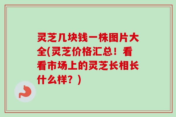 灵芝几块钱一株图片大全(灵芝价格汇总!看看市场上的灵芝长相长什么样?)-第1张图片-卓越灵芝孢子粉 灵芝几块钱一株图片大全(灵芝价格汇总!看看市场上的灵芝长相长什么样?)-第1张图片-卓越灵芝孢子粉