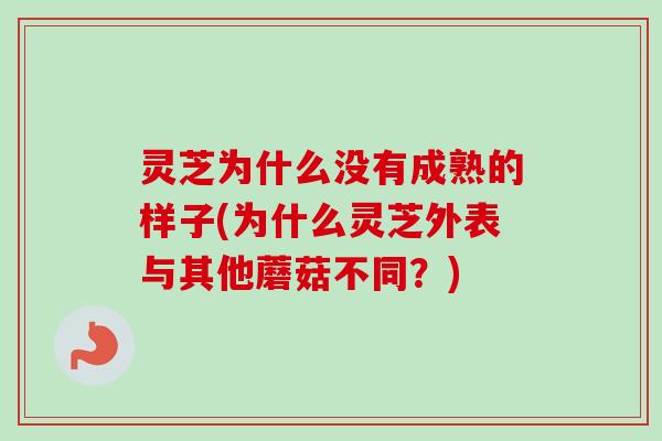 灵芝为什么没有成熟的样子(为什么灵芝外表与其他蘑菇不同?)-第1张图片-卓越灵芝孢子粉 灵芝为什么没有成熟的样子(为什么灵芝外表与其他蘑菇不同?)-第1张图片-卓越灵芝孢子粉