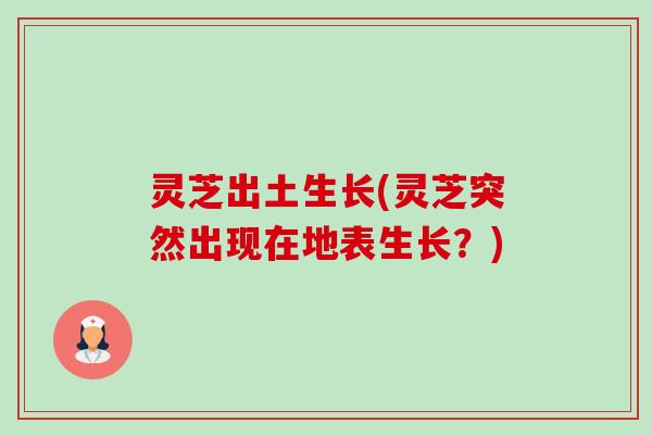 灵芝出土生长(灵芝突然出现在地表生长？)-第1张图片-卓越灵芝孢子粉