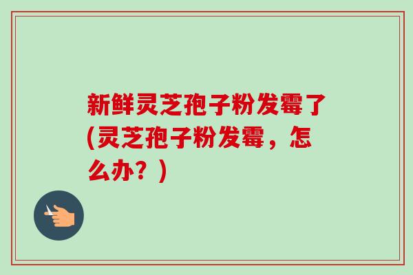 新鲜灵芝孢子粉发霉了(灵芝孢子粉发霉,怎么办?)-第1张图片-卓越灵芝孢子粉 新鲜灵芝孢子粉发霉了(灵芝孢子粉发霉,怎么办?)-第1张图片-卓越灵芝孢子粉
