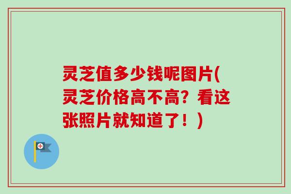 灵芝值多少钱呢图片(灵芝价格高不高?看这张照片就知道了!)-第1张图片-卓越灵芝孢子粉 灵芝值多少钱呢图片(灵芝价格高不高?看这张照片就知道了!)-第1张图片-卓越灵芝孢子粉