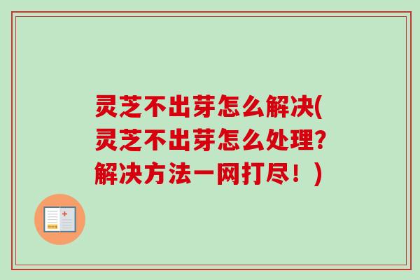 灵芝不出芽怎么解决(灵芝不出芽怎么处理?解决方法一网打尽!)-第1张图片-卓越灵芝孢子粉 灵芝不出芽怎么解决(灵芝不出芽怎么处理?解决方法一网打尽!)-第1张图片-卓越灵芝孢子粉