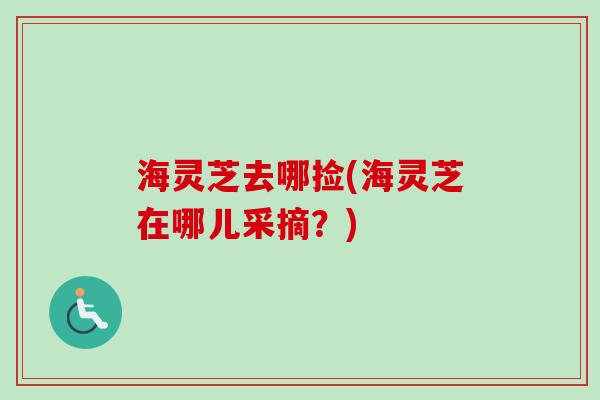 海灵芝去哪捡(海灵芝在哪儿采摘？)-第1张图片-卓越灵芝孢子粉
