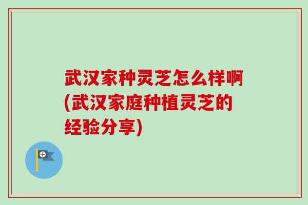 武汉家种灵芝怎么样啊(武汉家庭种植灵芝的经验分享)-第1张图片-卓越灵芝孢子粉 武汉家种灵芝怎么样啊(武汉家庭种植灵芝的经验分享)-第1张图片-卓越灵芝孢子粉