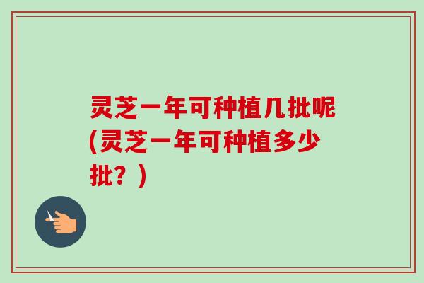 灵芝一年可种植几批呢(灵芝一年可种植多少批？)-第1张图片-卓越灵芝孢子粉