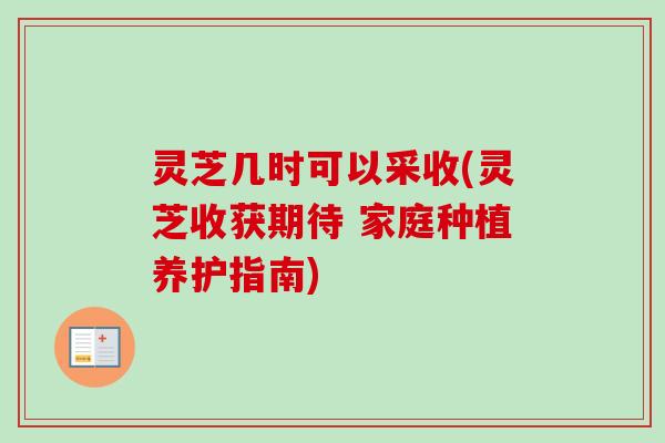 灵芝几时可以采收(灵芝收获期待 家庭种植养护指南)-第1张图片-卓越灵芝孢子粉