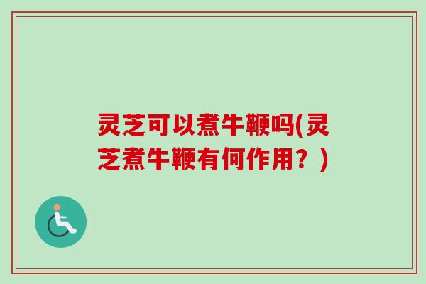 灵芝可以煮牛鞭吗(灵芝煮牛鞭有何作用?)-第1张图片-卓越灵芝孢子粉 灵芝可以煮牛鞭吗(灵芝煮牛鞭有何作用?)-第1张图片-卓越灵芝孢子粉