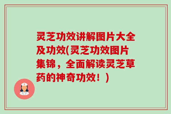 灵芝功效讲解图片大全及功效(灵芝功效图片集锦，全面解读灵芝草药的神奇功效！)-第1张图片-卓越灵芝孢子粉