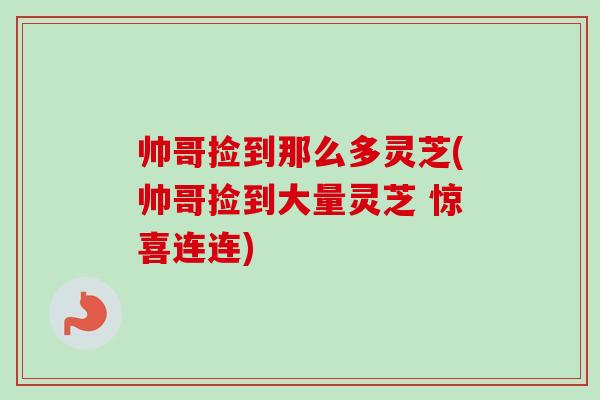 帅哥捡到那么多灵芝(帅哥捡到大量灵芝 惊喜连连)-第1张图片-卓越灵芝孢子粉