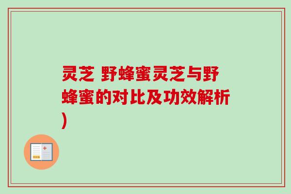 灵芝 野蜂蜜灵芝与野蜂蜜的对比及功效解析)-第1张图片-卓越灵芝孢子粉