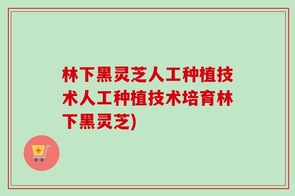 林下黑灵芝人工种植技术人工种植技术培育林下黑灵芝)-第1张图片-卓越灵芝孢子粉