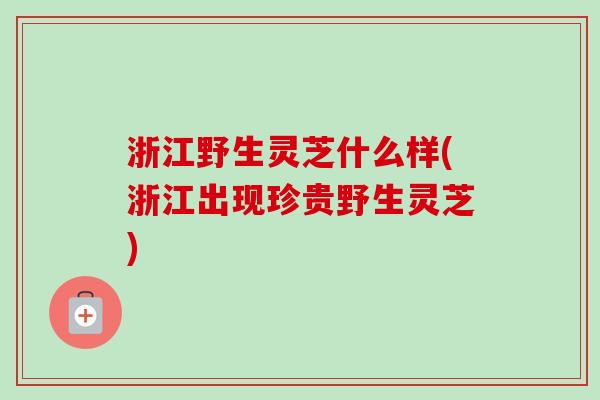 浙江野生灵芝什么样(浙江出现珍贵野生灵芝)-第1张图片-卓越灵芝孢子粉 浙江野生灵芝什么样(浙江出现珍贵野生灵芝)-第1张图片-卓越灵芝孢子粉