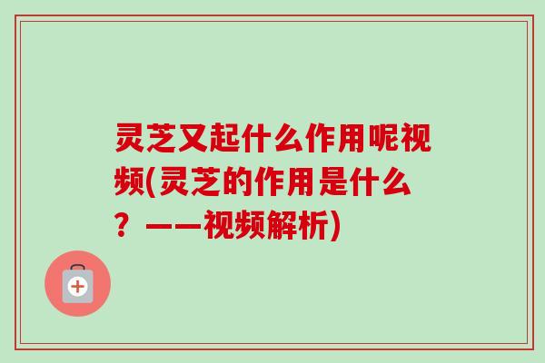灵芝又起什么作用呢视频(灵芝的作用是什么?——视频解析)-第1张图片-卓越灵芝孢子粉 灵芝又起什么作用呢视频(灵芝的作用是什么?——视频解析)-第1张图片-卓越灵芝孢子粉