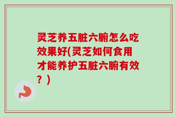 灵芝养五脏六腑怎么吃效果好(灵芝如何食用才能养护五脏六腑有效?)-第1张图片-卓越灵芝孢子粉 灵芝养五脏六腑怎么吃效果好(灵芝如何食用才能养护五脏六腑有效?)-第1张图片-卓越灵芝孢子粉