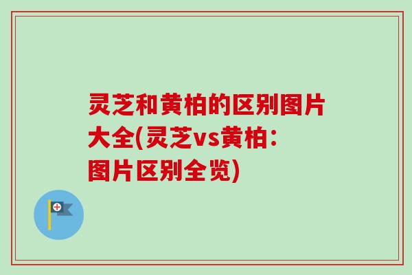 灵芝和黄柏的区别图片大全(灵芝vs黄柏:图片区别全览)-第1张图片-卓越灵芝孢子粉 灵芝和黄柏的区别图片大全(灵芝vs黄柏:图片区别全览)-第1张图片-卓越灵芝孢子粉