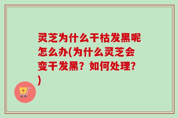 灵芝为什么干枯发黑呢怎么办(为什么灵芝会变干发黑?如何处理?)-第1张图片-卓越灵芝孢子粉 灵芝为什么干枯发黑呢怎么办(为什么灵芝会变干发黑?如何处理?)-第1张图片-卓越灵芝孢子粉