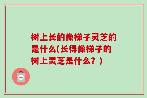 树上长的像梯子灵芝的是什么(长得像梯子的树上灵芝是什么？)-第1张图片-卓越灵芝孢子粉