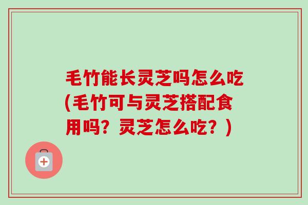 毛竹能长灵芝吗怎么吃(毛竹可与灵芝搭配食用吗？灵芝怎么吃？)-第1张图片-卓越灵芝孢子粉
