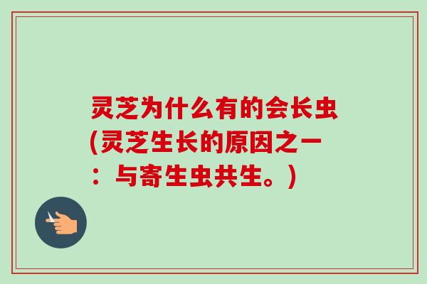 灵芝为什么有的会长虫(灵芝生长的原因之一:与寄生虫共生。)-第1张图片-卓越灵芝孢子粉 灵芝为什么有的会长虫(灵芝生长的原因之一:与寄生虫共生。)-第1张图片-卓越灵芝孢子粉