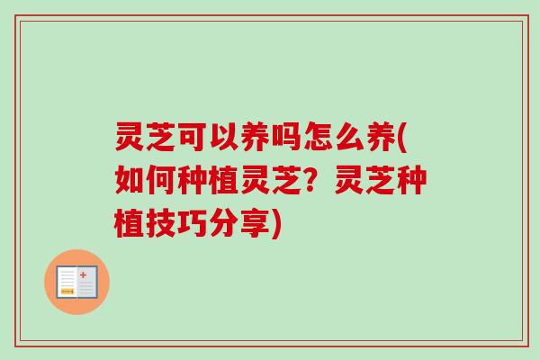 灵芝可以养吗怎么养(如何种植灵芝?灵芝种植技巧分享)-第1张图片-卓越灵芝孢子粉 灵芝可以养吗怎么养(如何种植灵芝?灵芝种植技巧分享)-第1张图片-卓越灵芝孢子粉