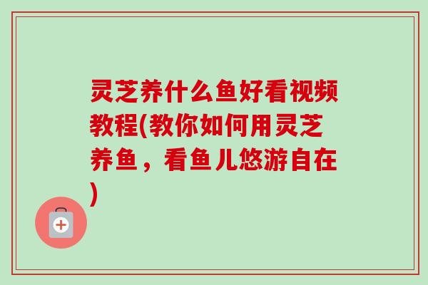 灵芝养什么鱼好看视频教程(教你如何用灵芝养鱼，看鱼儿悠游自在)-第1张图片-卓越灵芝孢子粉