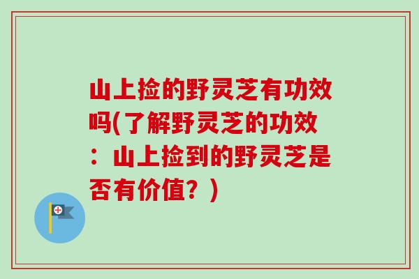 山上捡的野灵芝有功效吗(了解野灵芝的功效：山上捡到的野灵芝是否有价值？)-第1张图片-卓越灵芝孢子粉