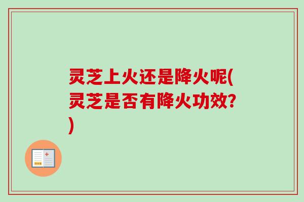 灵芝上火还是降火呢(灵芝是否有降火功效?)-第1张图片-卓越灵芝孢子粉 灵芝上火还是降火呢(灵芝是否有降火功效?)-第1张图片-卓越灵芝孢子粉