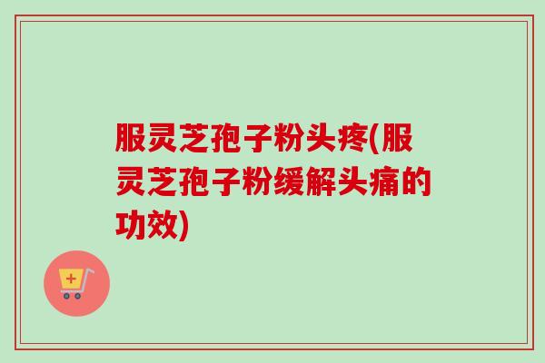 服灵芝孢子粉头疼(服灵芝孢子粉缓解头痛的功效)-第1张图片-卓越灵芝孢子粉 服灵芝孢子粉头疼(服灵芝孢子粉缓解头痛的功效)-第1张图片-卓越灵芝孢子粉