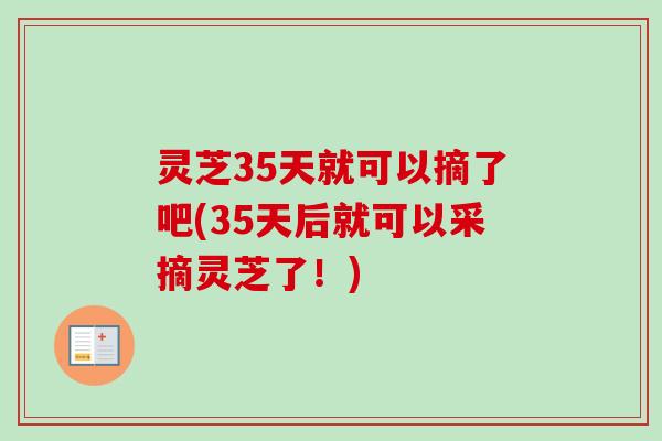 灵芝35天就可以摘了吧(35天后就可以采摘灵芝了!)-第1张图片-卓越灵芝孢子粉 灵芝35天就可以摘了吧(35天后就可以采摘灵芝了!)-第1张图片-卓越灵芝孢子粉