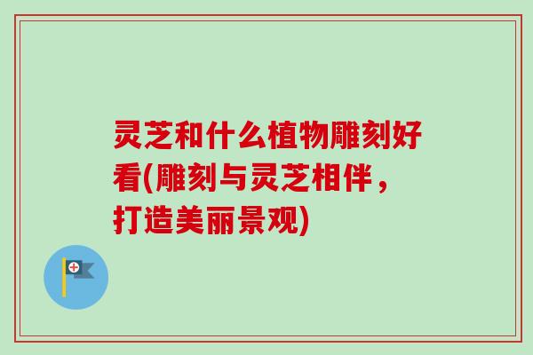 灵芝和什么植物雕刻好看(雕刻与灵芝相伴,打造美丽景观)-第1张图片-卓越灵芝孢子粉 灵芝和什么植物雕刻好看(雕刻与灵芝相伴,打造美丽景观)-第1张图片-卓越灵芝孢子粉