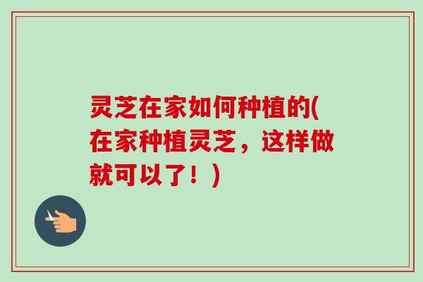 灵芝在家如何种植的(在家种植灵芝,这样做就可以了!)-第1张图片-卓越灵芝孢子粉 灵芝在家如何种植的(在家种植灵芝,这样做就可以了!)-第1张图片-卓越灵芝孢子粉