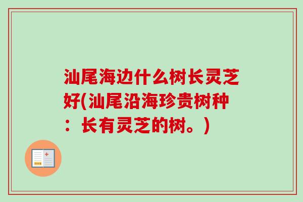 汕尾海边什么树长灵芝好(汕尾沿海珍贵树种:长有灵芝的树。)-第1张图片-卓越灵芝孢子粉 汕尾海边什么树长灵芝好(汕尾沿海珍贵树种:长有灵芝的树。)-第1张图片-卓越灵芝孢子粉