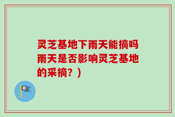 灵芝基地下雨天能摘吗雨天是否影响灵芝基地的采摘？)-第1张图片-卓越灵芝孢子粉