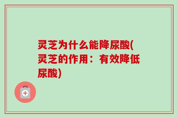 灵芝为什么能降尿酸(灵芝的作用:有效降低尿酸)-第1张图片-卓越灵芝孢子粉 灵芝为什么能降尿酸(灵芝的作用:有效降低尿酸)-第1张图片-卓越灵芝孢子粉