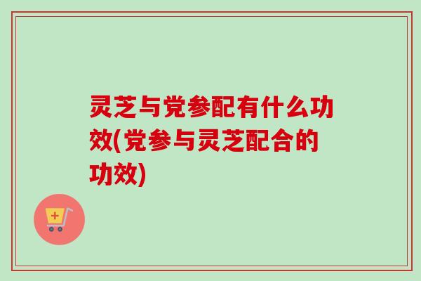 灵芝与党参配有什么功效(党参与灵芝配合的功效)-第1张图片-卓越灵芝孢子粉 灵芝与党参配有什么功效(党参与灵芝配合的功效)-第1张图片-卓越灵芝孢子粉