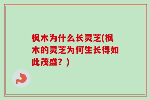 枫木为什么长灵芝(枫木的灵芝为何生长得如此茂盛?)-第1张图片-卓越灵芝孢子粉 枫木为什么长灵芝(枫木的灵芝为何生长得如此茂盛?)-第1张图片-卓越灵芝孢子粉