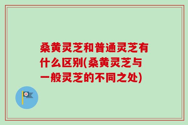 桑黄灵芝和普通灵芝有什么区别(桑黄灵芝与一般灵芝的不同之处)-第1张图片-卓越灵芝孢子粉 桑黄灵芝和普通灵芝有什么区别(桑黄灵芝与一般灵芝的不同之处)-第1张图片-卓越灵芝孢子粉