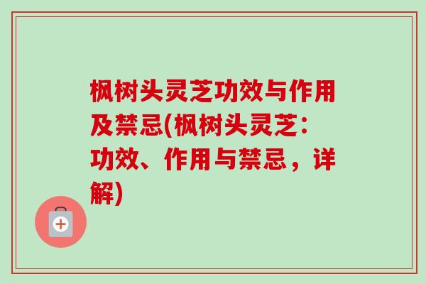 枫树头灵芝功效与作用及禁忌(枫树头灵芝:功效、作用与禁忌,详解)-第1张图片-卓越灵芝孢子粉 枫树头灵芝功效与作用及禁忌(枫树头灵芝:功效、作用与禁忌,详解)-第1张图片-卓越灵芝孢子粉
