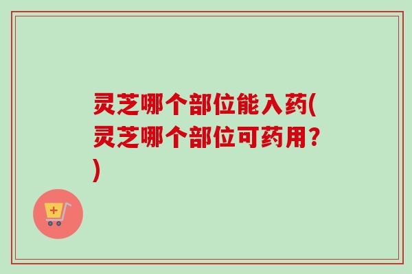 灵芝哪个部位能入药(灵芝哪个部位可药用?)-第1张图片-卓越灵芝孢子粉 灵芝哪个部位能入药(灵芝哪个部位可药用?)-第1张图片-卓越灵芝孢子粉